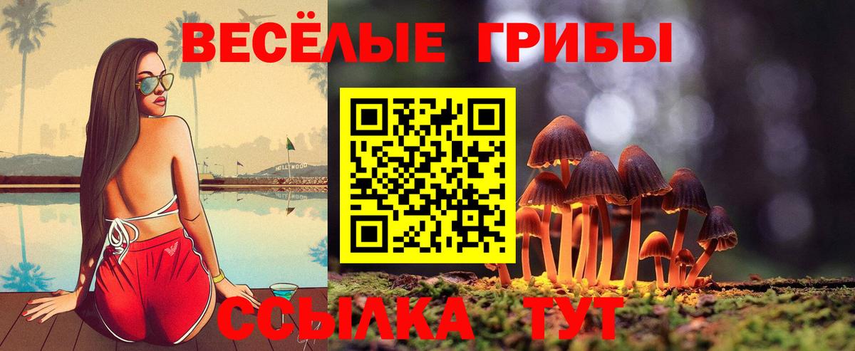 Галлюциногенные грибы прущие грибы Тверь